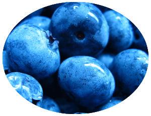 blueberry